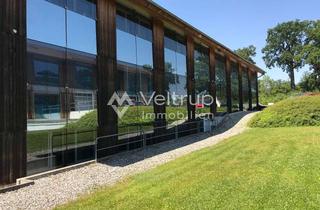 Gewerbeimmobilie mieten in 82229 Seefeld, TECHNOLOGIEPARK SEEFELD: FLEXIBLE UND REPRÄSENTATIVE BÜROFLÄCHEN