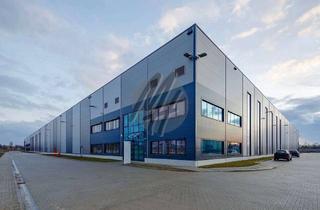 Büro zu mieten in 63456 Hanau, KEINE PROVISION ✓ NEUBAU / ERSTBEZUG ✓ Lager-/Logistik (4.000 m²) & Büro (500 m²) zu vermieten