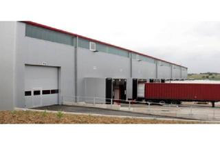 Gewerbeimmobilie mieten in 65474 Bischofsheim, "BAUMÜLLER & CO." - Nahe A60 - 1.500 qm Hallenfläche