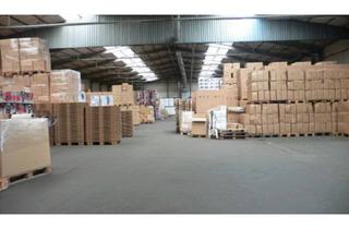 Gewerbeimmobilie mieten in 65428 Rüsselsheim, "BAUMÜLLER & CO." - 2.000 qm Top Lagerhalle nahe Frankfurter Flughafen