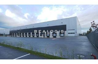 Gewerbeimmobilie mieten in 65428 Rüsselsheim, PROVISIONSFREI | ca. 20.000 qm Lager / Logistik | ALLEINAUFTRAG | AB SOFORT