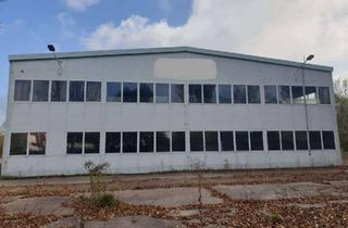 Gewerbeimmobilie kaufen in Herrenmühlen Str 32, 99817 Stadtmitte, bebautes Grundstück im Zentrum