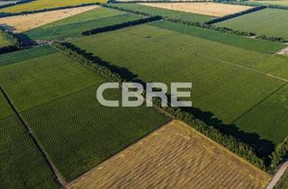 Gewerbeimmobilie mieten in 06556 Artern, Projektierte Logistik- und Produktionsflächen auf ca. 170.000 m²