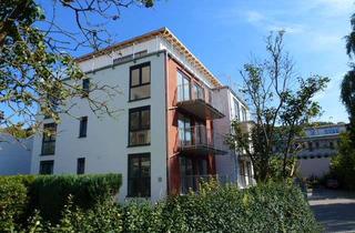 Wohnung mieten in Biegenstrasse 25A, 35037 Marburg, Stadtmitte-Helle, gepflegte 2ZKB mit Südbalkon, Parkett und Fahrstuhl in ruhiger Sackgasse