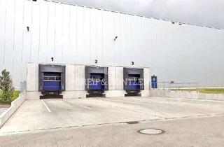 Büro zu mieten in 59192 Bergkamen, Lager- / Logistikhalle mit Rampenandienung