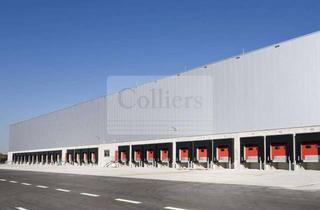 Gewerbeimmobilie mieten in 53881 Euskirchen, Euskirchen | 12 m UKB | Rampentore | 10.000 - 20.000 m²