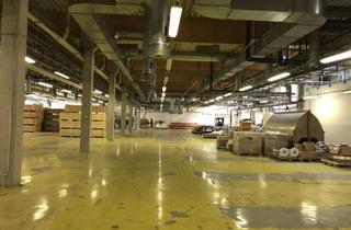 Büro zu mieten in 06766 Bitterfeld-Wolfen, Hallen- und Bürofläche zur Miete | PROVISIONSFREI