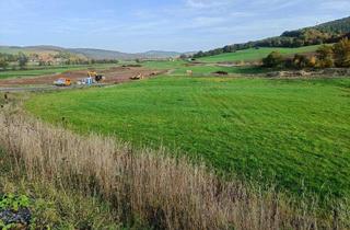 Gewerbeimmobilie kaufen in 36166 Haunetal, Bauplatz Nr. 129/1 im Gewerbegebiet Neukirchen Nord