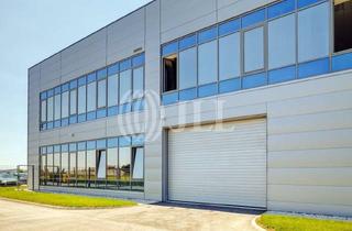 Gewerbeimmobilie mieten in 01587 Riesa, Neubau | Logistik | Rampe | Produktion