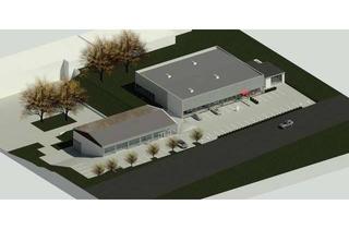 Büro zu mieten in Altenbürenerstrasse 27, 59929 Brilon, +++ 800 m² +++ Einzelhandel | Büro | Praxis | Handel +++ NEUBAU