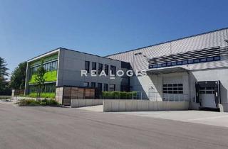Gewerbeimmobilie mieten in 63150 Heusenstamm, Kurzfristig & flexibel: ca. 8.000 qm Lager / Logistik | Rampe | 10,50 m UKB