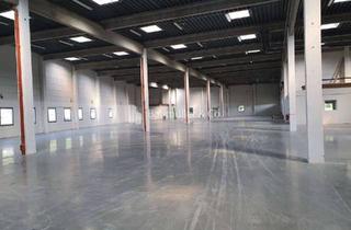 Gewerbeimmobilie mieten in 64646 Heppenheim (Bergstraße), "BAUMÜLLER & CO." ca. 2.000 qm Hallenfläche - ebenerdig/Rampe - direkt an A5