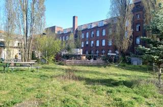 Büro zu mieten in Neumagenerstraße 27, 13088 Weißensee, Bürofläche