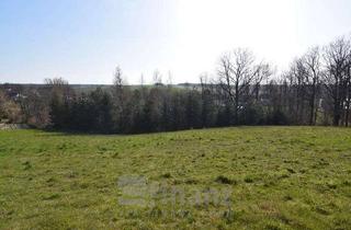 Grundstück zu kaufen in 08451 Crimmitschau, Baugrundstück in Crimmitschau