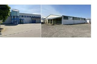 Gewerbeimmobilie kaufen in 79423 Heitersheim, Paketpreis Großzügige Gewerbefläche mit guter Anbindung an die A5 und B3 zu verkaufen