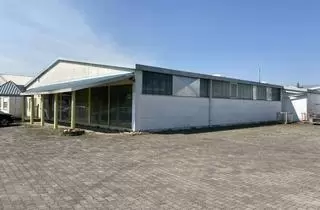 Gewerbeimmobilie kaufen in 79423 Heitersheim, Großzügige Lagerfläche mit guter Anbindung an die A5 und B3 zu verkaufen