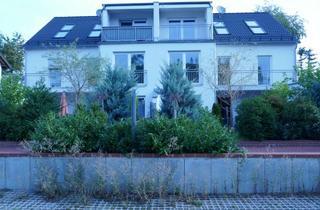 Wohnung mieten in Parkstraße 14, 82194 Gröbenzell, Attraktive neuwertige drei Zimmer EG-Wohnung mit zwei großen Terassen und Garten