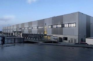 Gewerbeimmobilie mieten in 55411 Bingen, Ab sofort & flexible Laufzeiten: Logistikflächen im Neubau Erstbezug - provisionsfrei