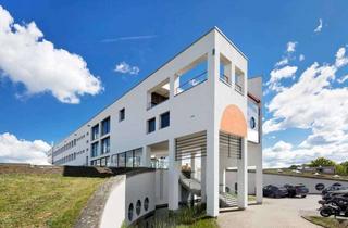 Büro zu mieten in Am Hafen, 38112 Veltenhof-Rühme, ca. 504 m² Büro- oder Lagerfläche mit Loft-Charakter