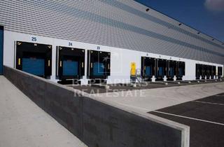 Gewerbeimmobilie mieten in 35415 Pohlheim, LEADMANDAT - LAGER- UND LOGISTIKFLÄCHEN IM ERSTBEZUG