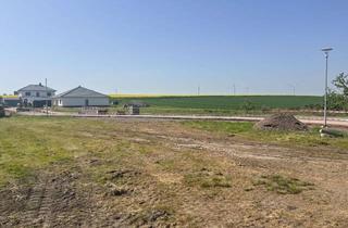Grundstück zu kaufen in Harzblick, 39393 Wulferstedt, Baugrundstück/Bauland in Wulferstedt bei Oschersleben, Halberstadt, Huy, Schöningen, Helmstedt