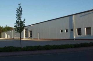 Gewerbeimmobilie mieten in 64521 Groß-Gerau, "BAUMÜLLER & CO." Lagerhalle ca. 3.000 qm - ebenerdige Andienung