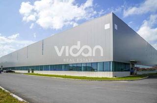 Gewerbeimmobilie mieten in 56743 Mendig, HALLE | PRODUKTION | NEUBAU | RAMPEN | KRAN | VIDAN REAL ESTATE