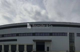 Gewerbeimmobilie mieten in 76461 Muggensturm, "BAUMÜLLER & CO." ca. 5.000 qm Lagerfläche - Andienung: ebenerdig/Rampe - Nahe A5