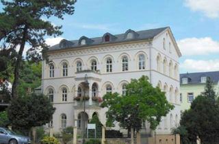 Immobilie mieten in 04736 Waldheim, Charmantes und schickes Zuhause in Waldheim