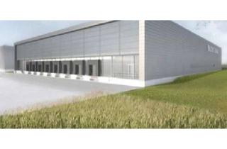 Gewerbeimmobilie mieten in 89075 Böfingen, "BAUMÜLLER & CO." - ca. 25.000 m² neuwertige Logistikhalle - Rampenlager an BAB