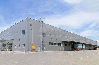 Gewerbeimmobilie mieten in 90513 Zirndorf, Vielseitig nutzbare Lager-/Logistik-/Produktionshalle (Beispielfoto)
