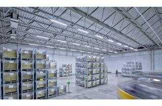 Gewerbeimmobilie mieten in 76470 Ötigheim, "BAUMÜLLER & CO." - Nähe A5: 10.000 m² Logistik-NEUBAU