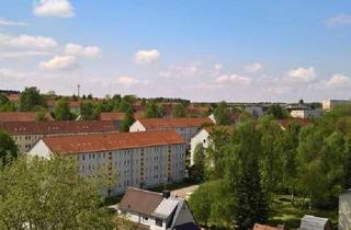 Wohnung mieten in Forstweg 65, 09599 Freiberg, 1-Raum-Seniorennest Wanne + Weitblick