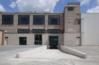 Gewerbeimmobilie mieten in Kerkstiege, 48268 Greven, Lagerfläche ab 2000 qm in beheizbarer u. gesicherter Logistikhalle in Greven ab sofort zu vermieten