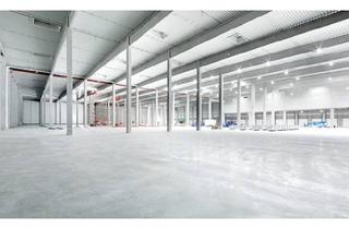 Gewerbeimmobilie mieten in 64572 Büttelborn, "BAUMÜLLER & CO." - ca. 5.000 m² Logistik-NEUBAU - TOP Lage / an der A67