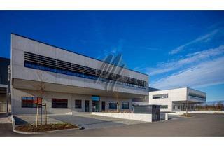 Gewerbeimmobilie mieten in 63571 Gelnhausen, PROVISIONSFREI ✓ LOGISTIK-NEUBAU ✓ östliche Rhein-Main-Region ✓ 25.000 m² / teilbar ✓