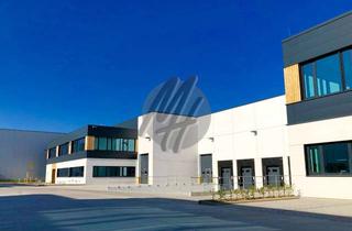 Gewerbeimmobilie mieten in 61130 Nidderau, PROVISIONSFREI ✓ LAGER-/LOGISTIK-NEUBAU ✓ 10.000 m² / teilbar ✓ Rampe + eben ✓ 10 m Höhe ✓