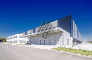 Gewerbeimmobilie mieten in 63452 Hanau, PROVISIONSFREI ✓ LOGISTIK-NEUBAU ✓ 40.000 m² / teilbar ✓ viele Rampen ✓ 12 m Höhe ✓