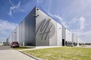 Gewerbeimmobilie mieten in 65468 Trebur, PROVISIONSFREI ✓ LAGER-/LOGISTIK-NEUBAU ✓ 30.000 m² / teilbar ✓ Rampe + eben ✓ 10 m Höhe ✓