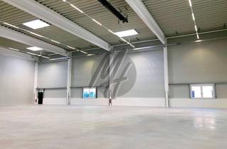Gewerbeimmobilie mieten in 65428 Rüsselsheim, PROVISIONSFREI ✓ LAGER-/LOGISTIK-NEUBAU ✓ 10.000 m² / teilbar ✓ Rampe + eben ✓ 10 m Höhe ✓