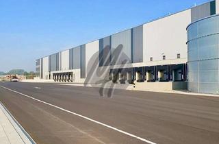 Gewerbeimmobilie mieten in 65428 Rüsselsheim am Main, PROVISIONSFREI ✓ LOGISTIK-NEUBAU ✓ 100.000 m² / teilbar ✓ viele Rampen ✓ 12 m Höhe ✓