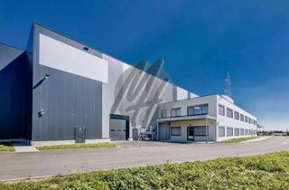 Gewerbeimmobilie mieten in 64569 Nauheim, PROVISIONSFREI ✓ LAGER-/LOGISTIK-NEUBAU ✓ 30.000 m² / teilbar ✓ Rampe + eben ✓ 10 m Höhe ✓
