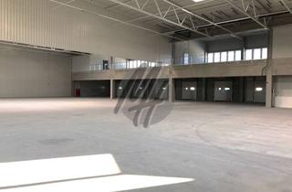 Gewerbeimmobilie mieten in 64569 Nauheim, PROVISIONSFREI ✓ LAGER-/LOGISTIK-NEUBAU ✓ 25.000 m² / teilbar ✓ Rampe + eben ✓ 10 m Höhe ✓
