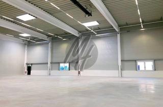 Gewerbeimmobilie mieten in 64569 Nauheim, PROVISIONSFREI ✓ LAGER-/LOGISTIK-NEUBAU ✓ 5.000 m² / teilbar ✓ Rampe + eben ✓ 10 m Höhe ✓