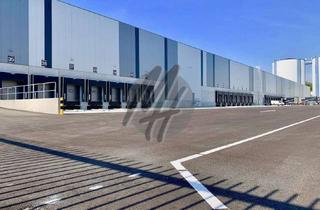 Gewerbeimmobilie mieten in 64589 Stockstadt, PROVISIONSFREI ✓ LOGISTIK-NEUBAU ✓ 100.000 m² / teilbar ✓ viele Rampen ✓ 12 m Höhe ✓