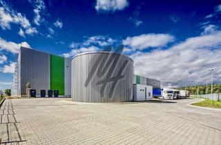 Gewerbeimmobilie mieten in 64589 Stockstadt, PROVISIONSFREI ✓ LOGISTIK-NEUBAU ✓ 50.000 m² / teilbar ✓ viele Rampen ✓ 12 m Höhe ✓