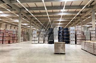 Gewerbeimmobilie mieten in 64589 Stockstadt, PROVISIONSFREI ✓ LOGISTIK-NEUBAU ✓ 40.000 m² / teilbar ✓ viele Rampen ✓ 12 m Höhe ✓