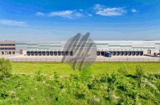 Gewerbeimmobilie mieten in 64589 Stockstadt, PROVISIONSFREI ✓ LOGISTIK-NEUBAU ✓ 25.000 m² / teilbar ✓ viele Rampen ✓ 12 m Höhe ✓