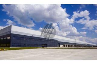 Gewerbeimmobilie mieten in 64409 Messel, PROVISIONSFREI ✓ LOGISTIK-NEUBAU ✓ 100.000 m² / teilbar ✓ viele Rampen ✓ 12 m Höhe ✓
