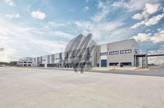 Gewerbeimmobilie mieten in 64409 Messel, PROVISIONSFREI ✓ LOGISTIK-NEUBAU ✓ 50.000 m² / teilbar ✓ viele Rampen ✓ 12 m Höhe ✓